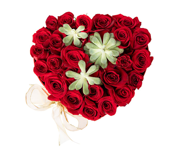 Medium Heart Box with 20 Red Roses and 3 Succulent Plants.