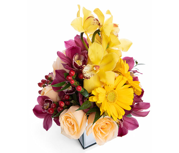 Mom's Delight