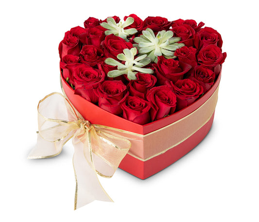 Medium Heart Box with 20 Red Roses and 3 Succulent Plants.