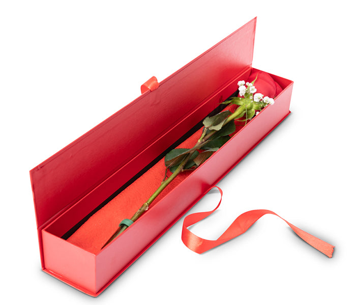 1 single stem Rose with Baby’s Breath presented in a ribbon tied gift box.