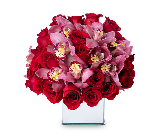 Square mirror vase with 24 red roses with cymbidium orchid blooms.