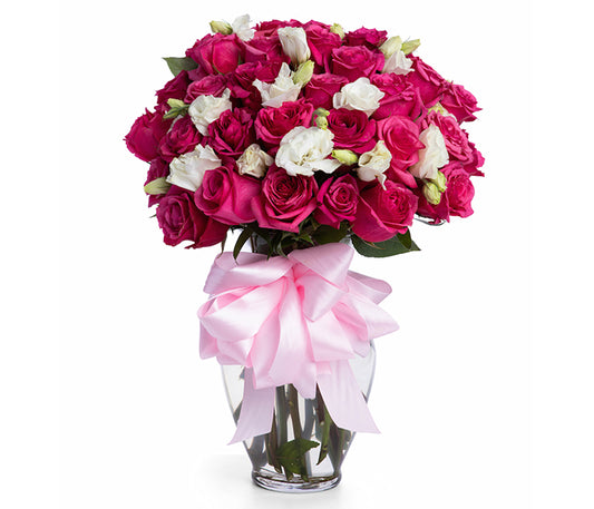 24 Hot Pink Roses with White Filler in Spring Vase.