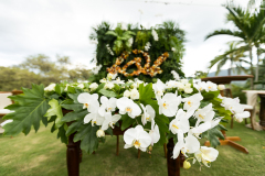 1_TaiFlora_McConnellJardim_Wedding_BogWalk_28.11.20-15