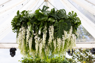 2_TaiFlora_BicknellJardim_Wedding_SeaSaltVilla_23.11.19-2