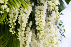 TaiFlora_BicknellJardim_Wedding_SeaSaltVilla_23.11.19-1-2